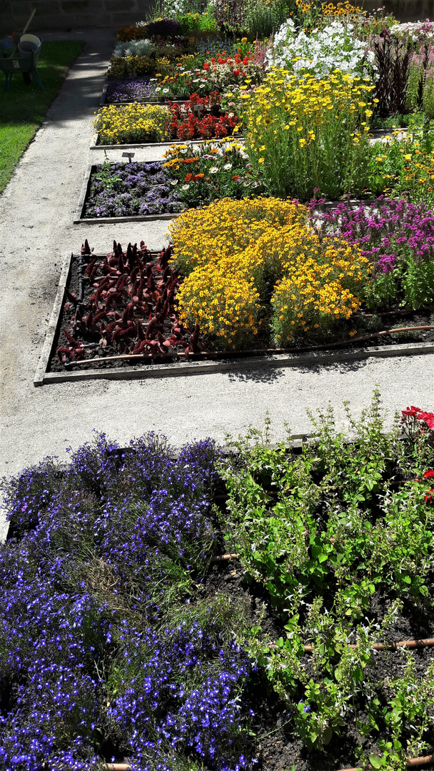 Bayreuth :Gartenlust am Neuen Schloss II