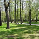 Bayreuth Hofgarten   ein schöner Park