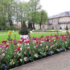 Bayreuth :Hofgarten hinter dem  neuen Schloss II