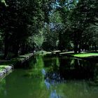 Bayreuth :Hofgarten immergrüne Oase