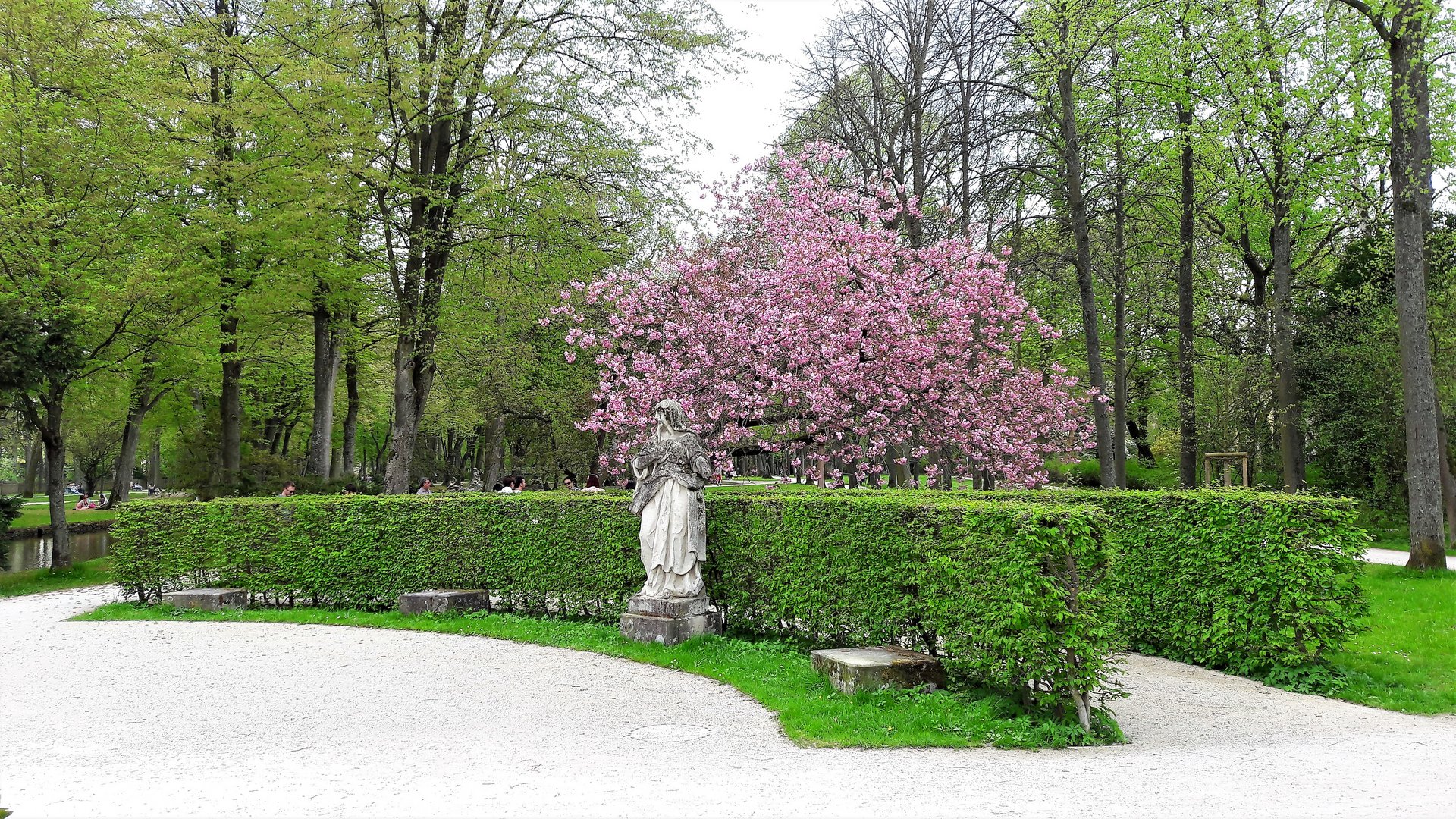 Bayreuth Hofgarten Touristenansammlung unter blühendem Baum