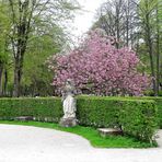 Bayreuth Hofgarten Touristenansammlung unter blühendem Baum