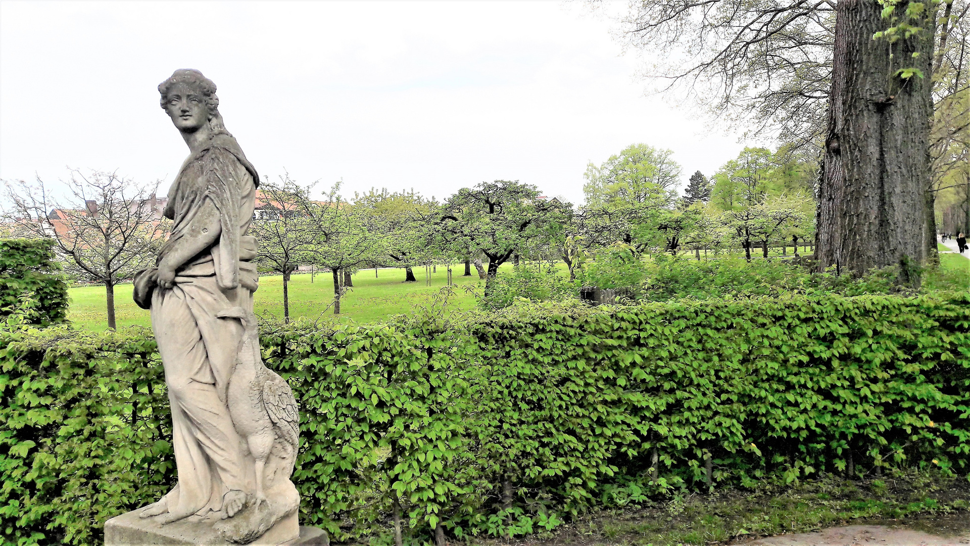 Bayreuth: Hofgarten,Garten der Gärtnerei