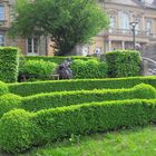 Bayreuth : Markgräfin Wilhelmine mitten im Grünem