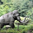 Bayreuth Röhrensee  :Mammut  mit Nachwuchs