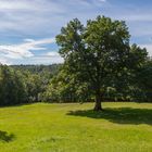 Bayreuth Schlosspark Fantaisie