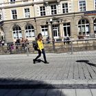 Bayreuth :Sonnenhungringe  auf den Stufen des "Canale Grande"