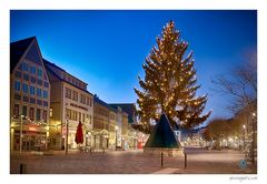 Bayreuth | Weihnachtsbaum II