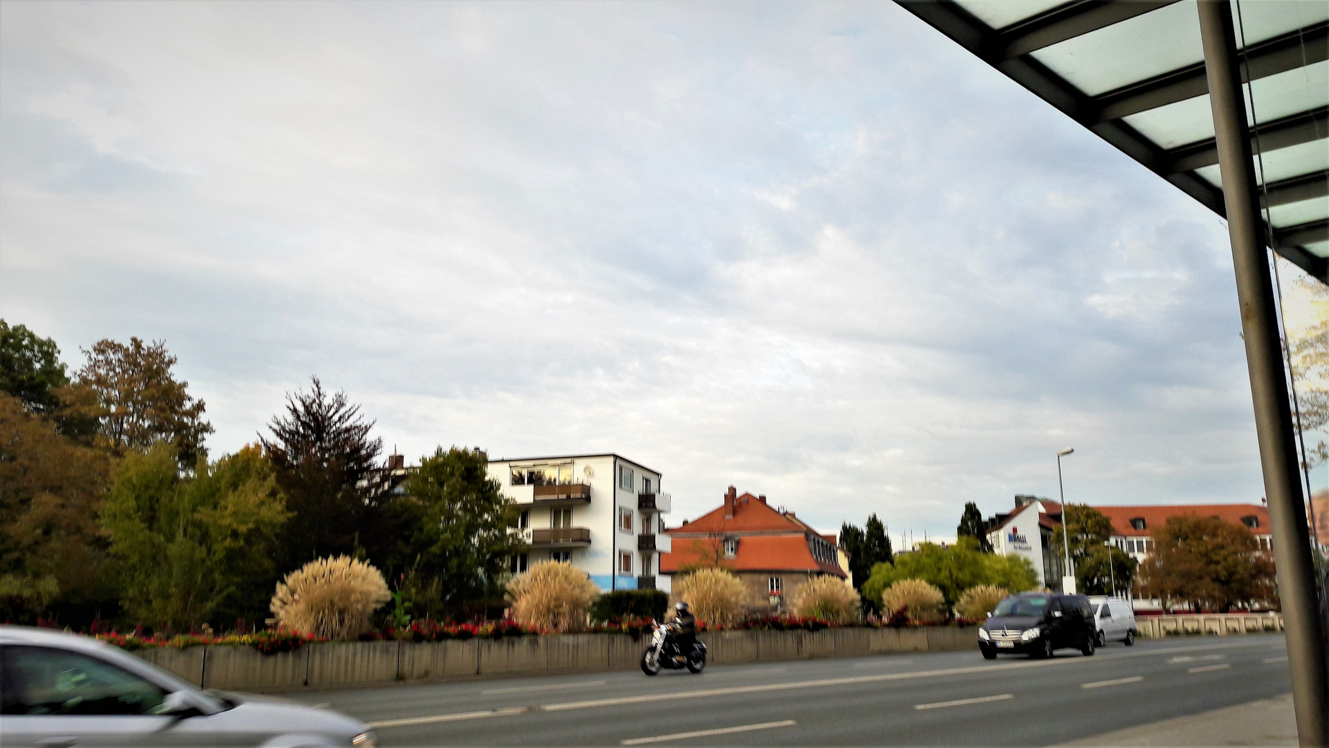 Bayreuth :Wuschelköpfe am Straßenrand