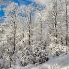 Bayrisch angehaucht ist mein Beitrag zum blauen Montag, Winter von seiner schönsten Seite... 