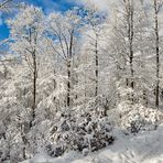 Bayrisch angehaucht ist mein Beitrag zum blauen Montag, Winter von seiner schönsten Seite... 