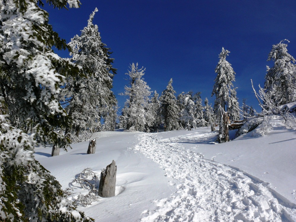 Bayrisch: Weiß/Blau