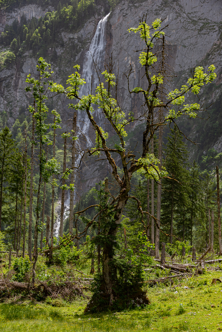 Bayrische Alpen