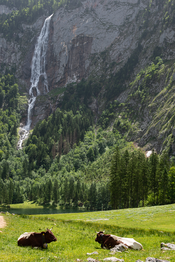 Bayrische Alpen