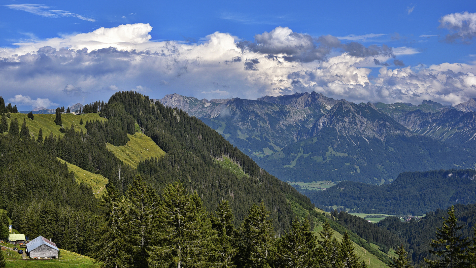 Bayrische Alpen Sommer