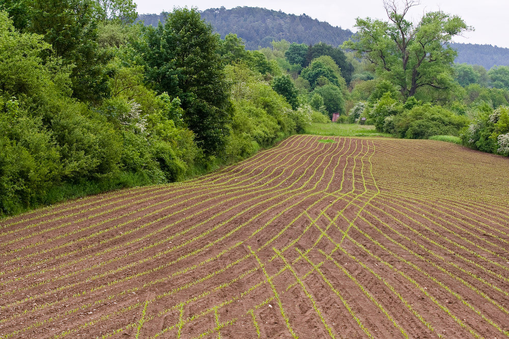 Bayrische Geometrie Foto &amp; Bild | landschaft, Äcker, felder &amp; wiesen ...