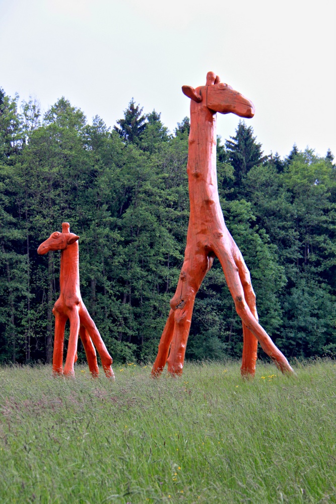 Bayrische Giraffen