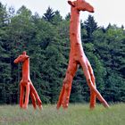 Bayrische Giraffen