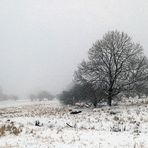 Bayrische Rhön: Blick aus der Thüringer Hütte