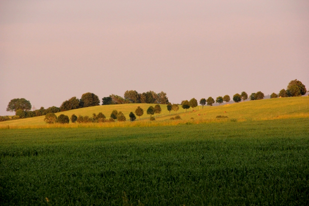 Bayrische Toscana