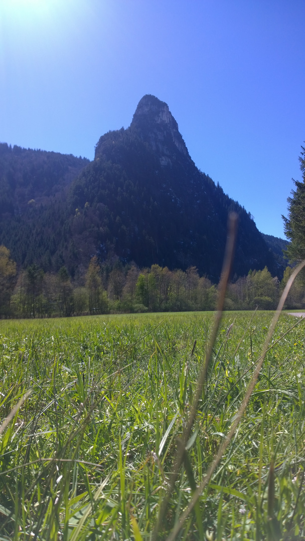 bayrischer Berg (Kofel) mit Wiese