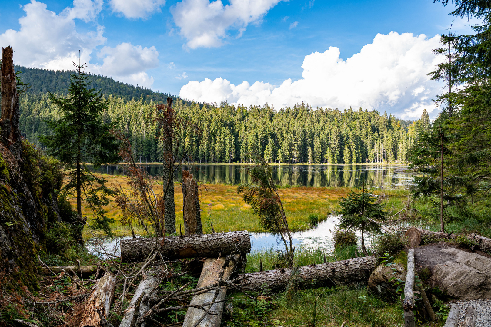 Bayrischer Wald, gr. Arbersee