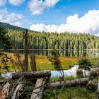 Bayrischer Wald, gr. Arbersee