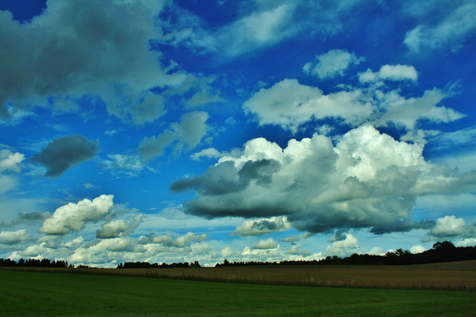 Bayrischer weiß/blauer Woikerl Himme