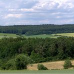 Bayrisch/Thüringer- Rhönausläufer