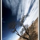 bayuda desert - sudan