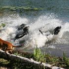 Baywatch, die Rettungsschwimmer von Malibu ...