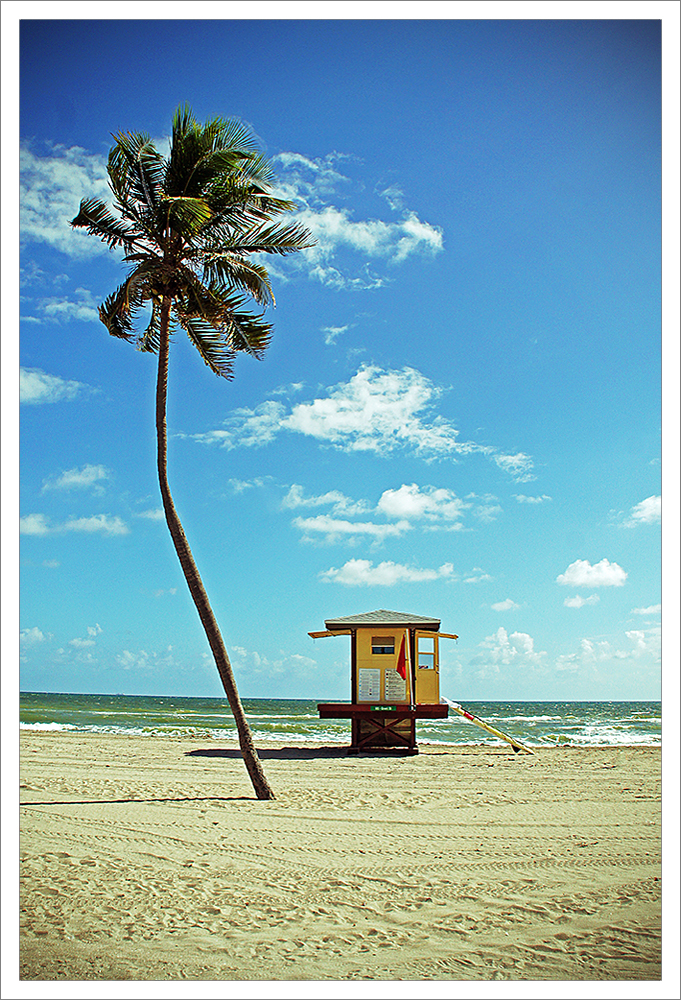 Baywatch house with palm tree / Hollywood Beach - Florida