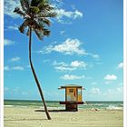 Baywatch house with palm tree / Hollywood Beach - Florida