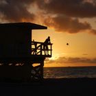 Baywatch is watching you 2 @ Miami Beach