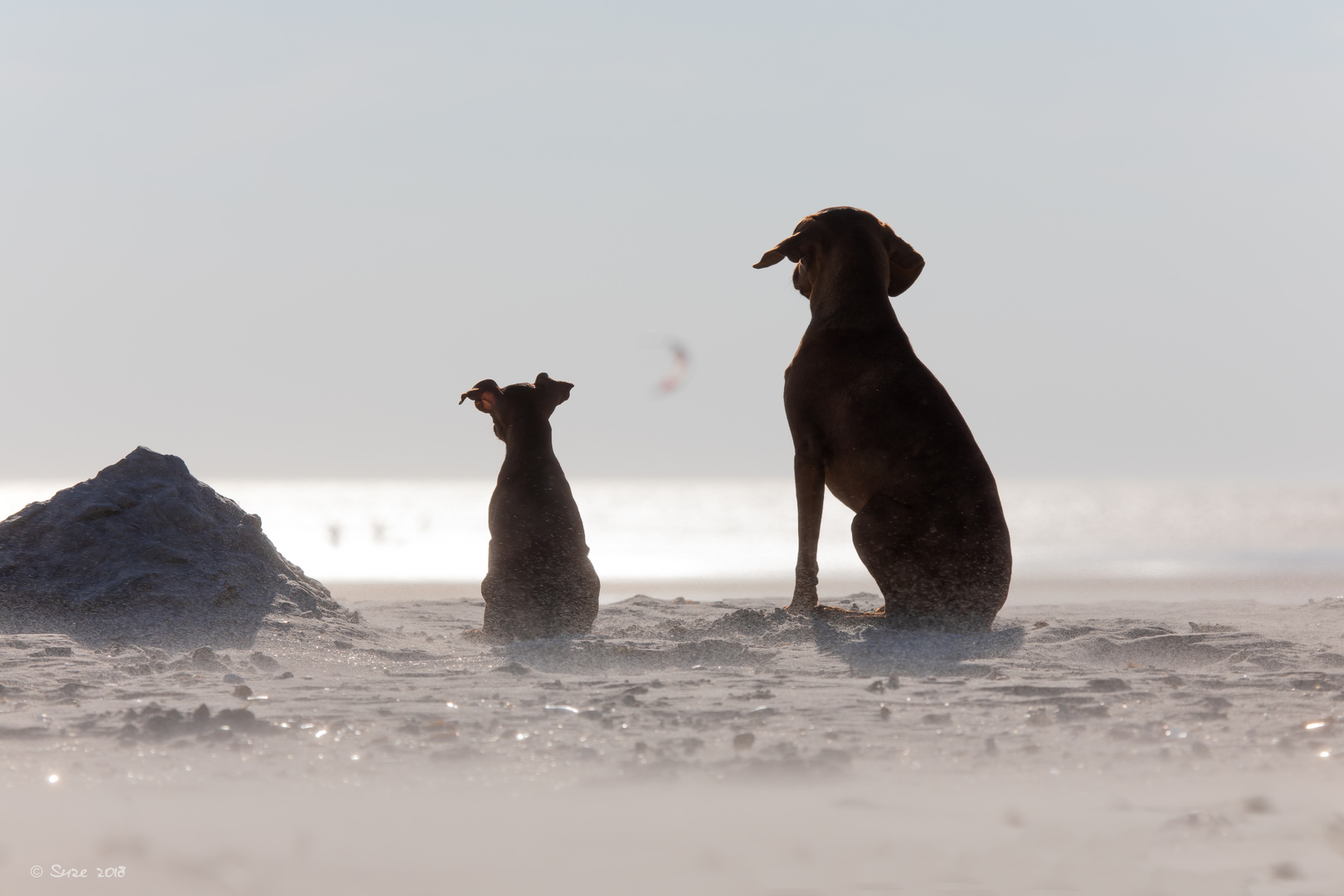 Baywatch Teamwork