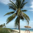 Baywatchturm auf Cuba