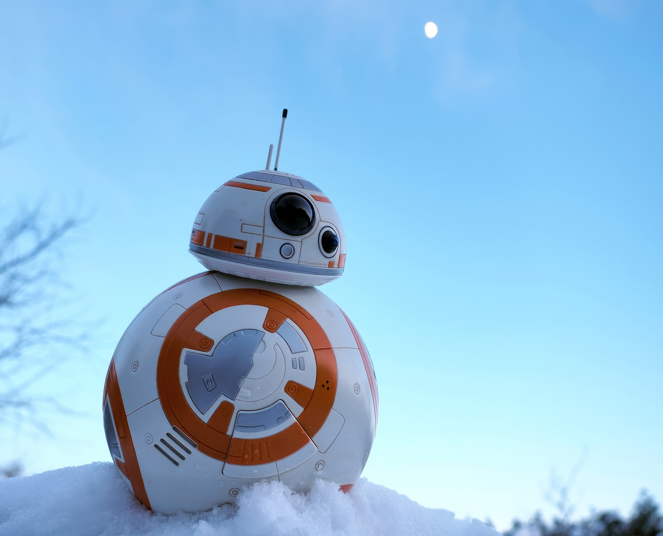 BB-8 Astromechdroide