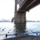 BB Bridge NYC