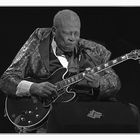 B.B. King #2