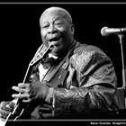 BB King #3