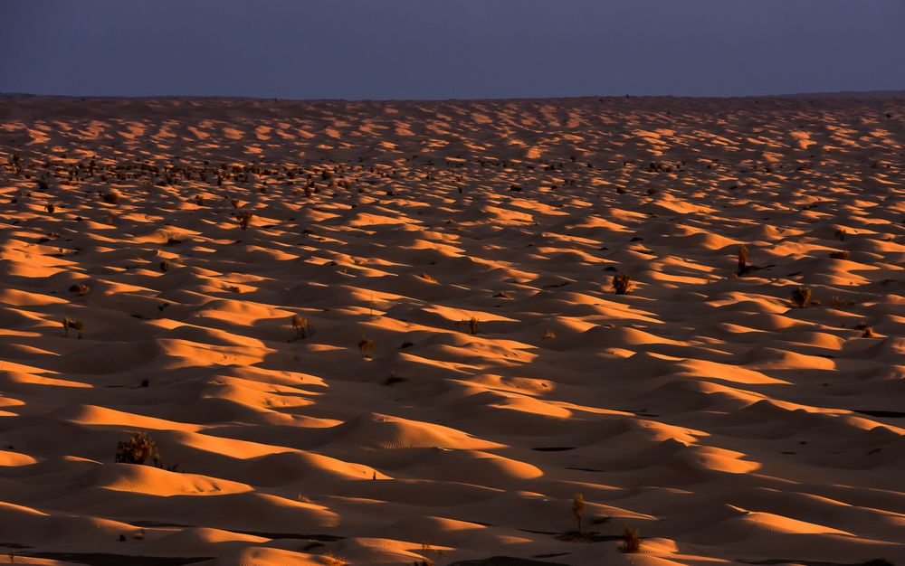 Fotowettbewerb Wüste - Grand Erg Oriental von Michel Seitz