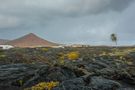 Regen auf Lanzarote von alfred.derks