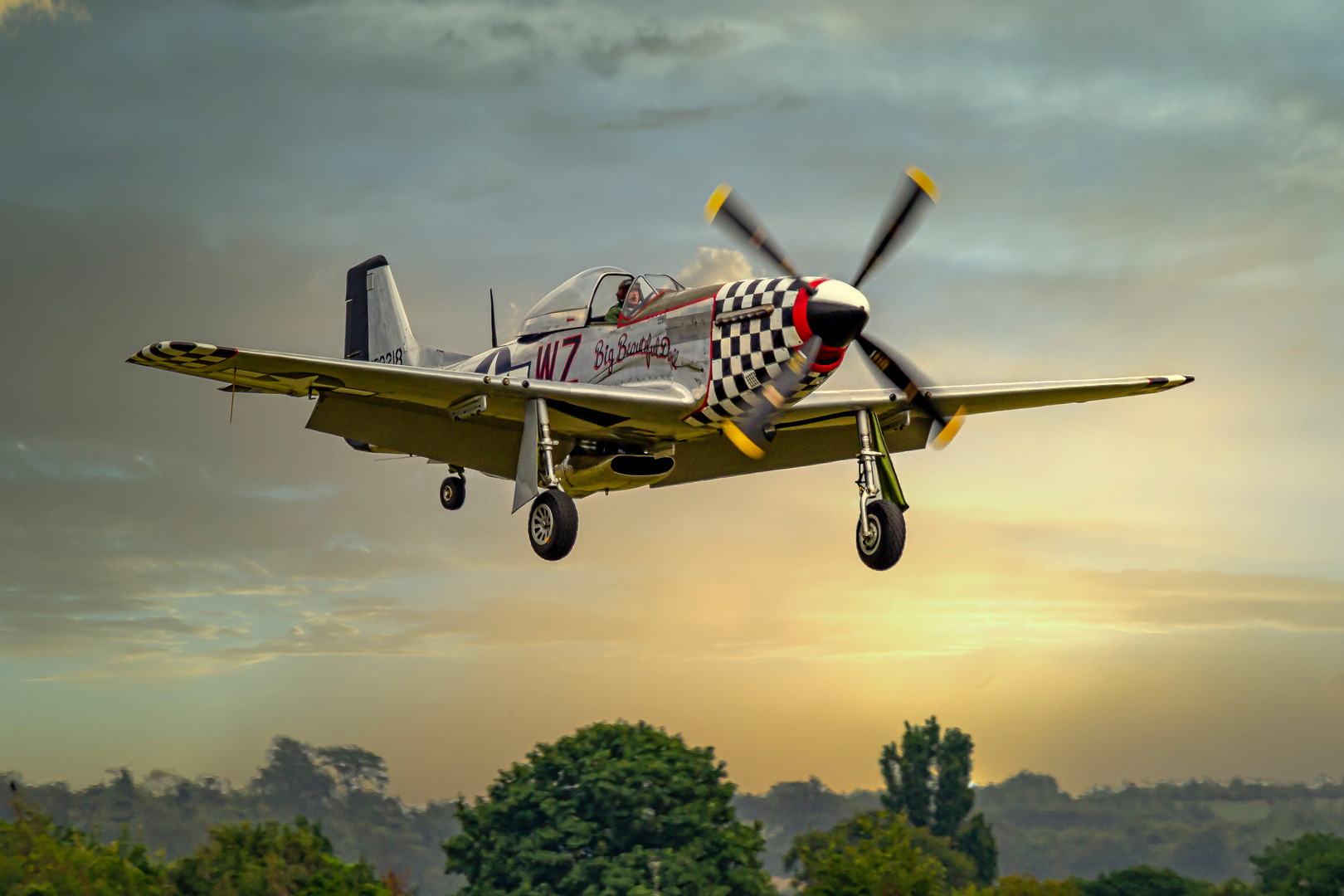 BBD Mustang P-51 