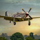 BBD Mustang P-51 