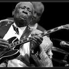 B.B.King [ XII ]