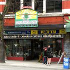 BC Marijuana Party Headquarters