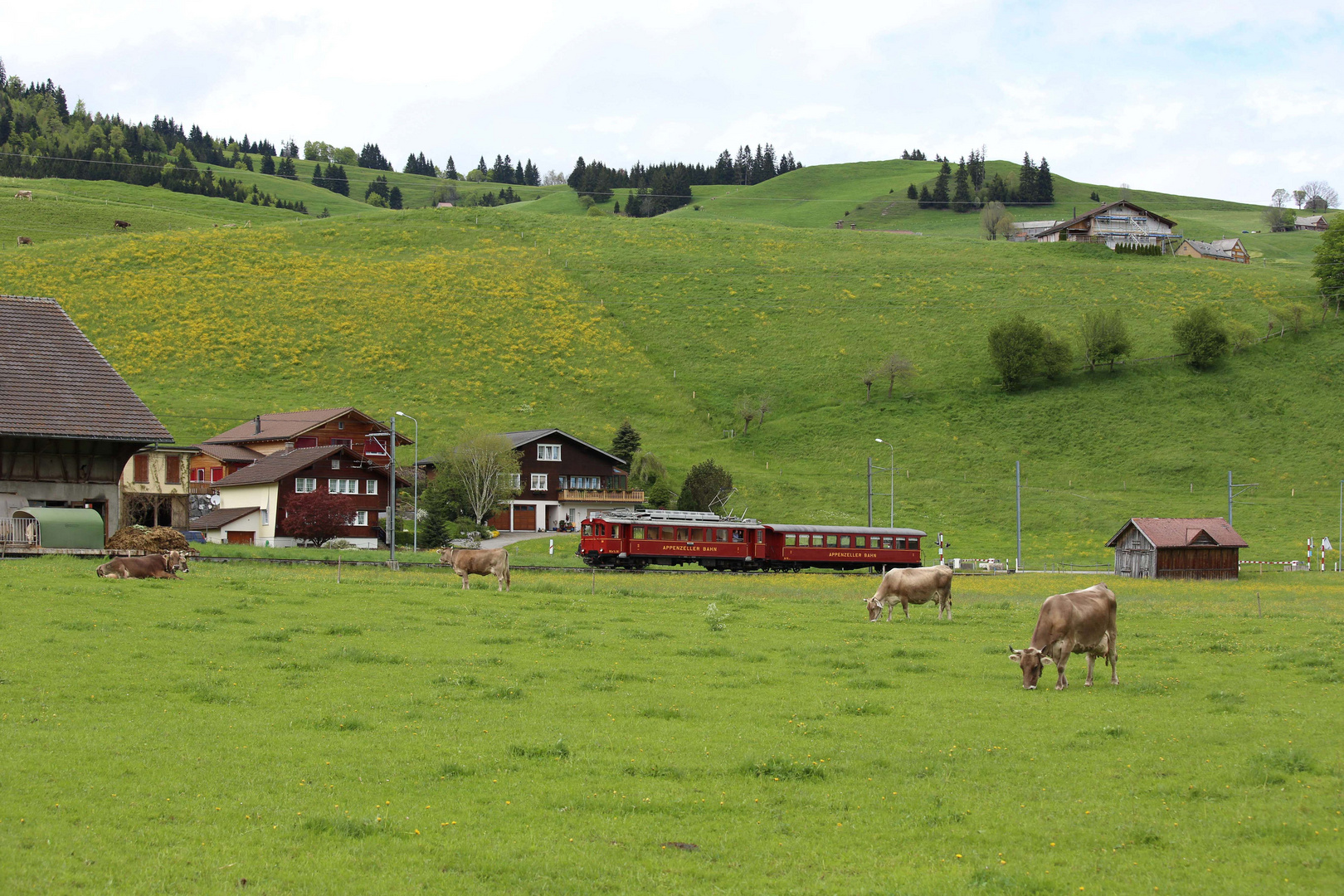 BCe 4/4 30 auf der Strecke Wasserauen - Gossau