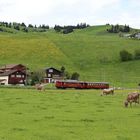 BCe 4/4 30 auf der Strecke Wasserauen - Gossau