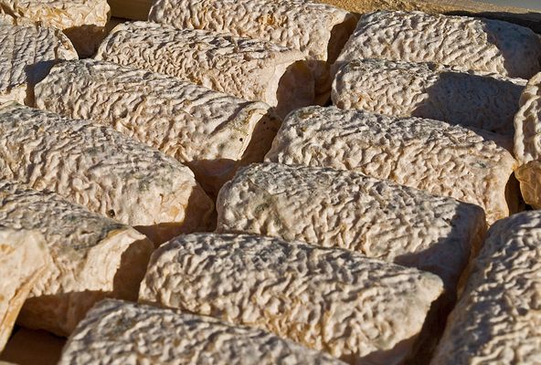 Bûche de chèvre de la région