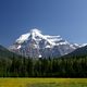 Mt. Robson